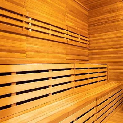 Sauna asciutta all'aperto Hemlock con sistema di ventilazione regolabile Bluetooth Musica Porta in vetro temperato