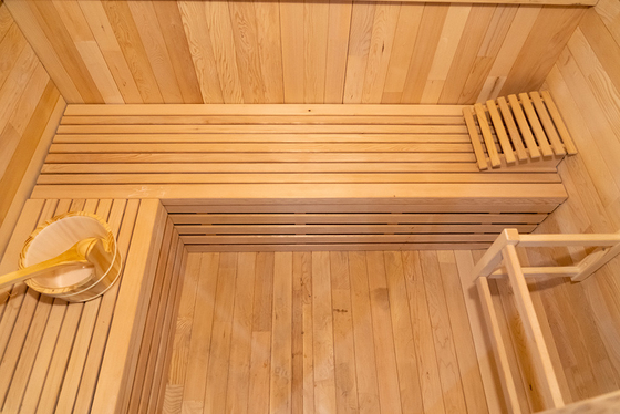 220V Sauna a tensione a vapore Ozone Sauna a vapore con generatore di ozono Hemlock Red Cedar 0-99 MIN Timer